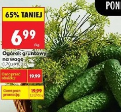 Ogórek gruntowy na wagę