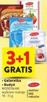 Galaretka Wodzisław