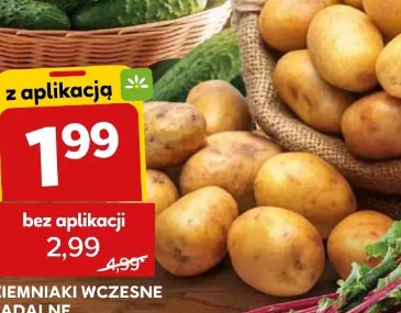 Ziemniaki wczesne jadalne