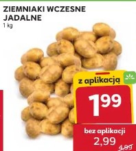 Ziemniaki wczesne jadalne 