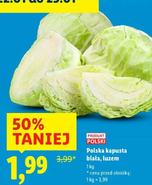 Polska kapusta biała