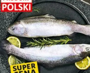 Pstrąg tęczowy świeży patroszony