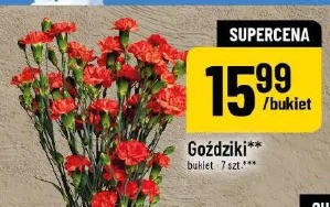 Goździki