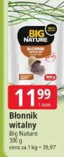 Błonnik witalny Big Nature