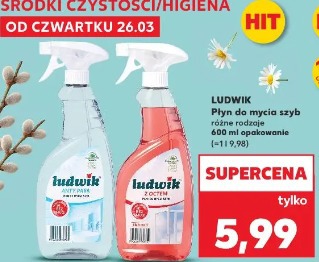 Ludwik Płyn do mycia szyb