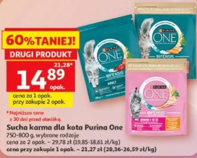 Purina One sucha karma dla kota