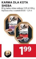 Karma dla kota Sheba