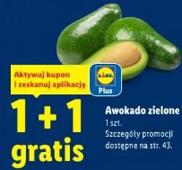 Awokado zielone