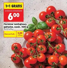 Pomidor koktajlowy gałązka