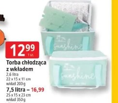 Torba chłodząca z wkładem