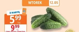 Ogórki gruntowe