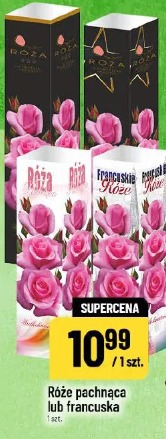 Róże pachnąca lub francuska