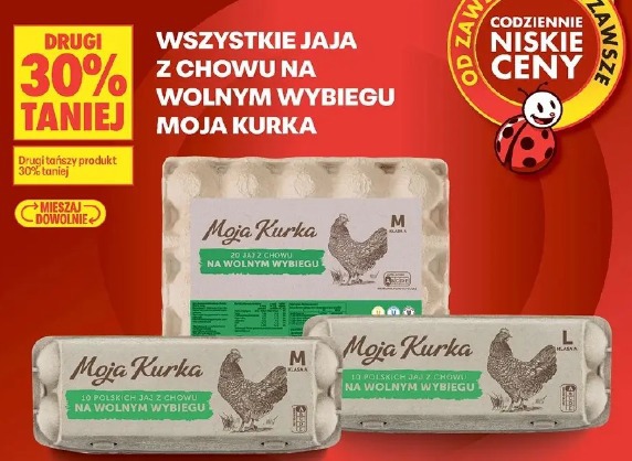 Wszystkie jaja z chowu na wolnym wybiegu Moja Kurka