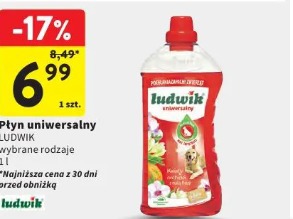 Płyn uniwersalny Ludwik