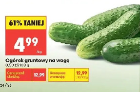Ogórek gruntowy