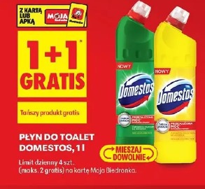 Płyn do toalet Domestos