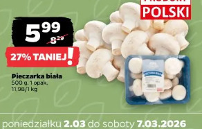 Pieczarka biała