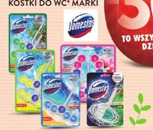 Kostki do WC marki Domestos