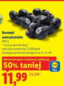 Borówki amerykańskie