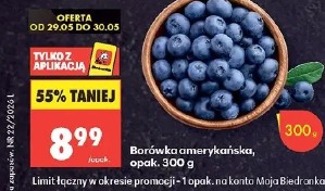Borówka amerykańska