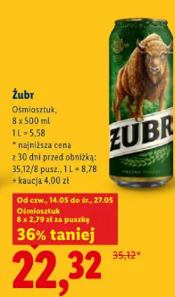 Żubr