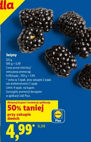 Jeżyny