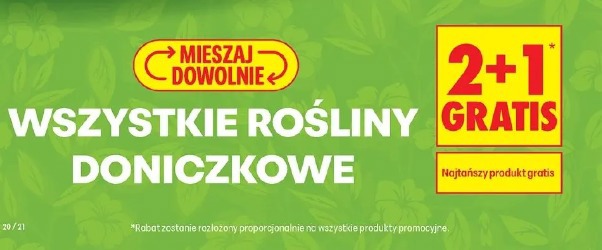 Wszystkie rośliny doniczkowe