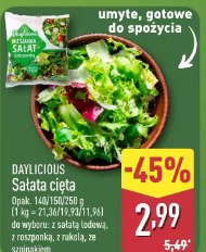 Daylicious Sałata cięta