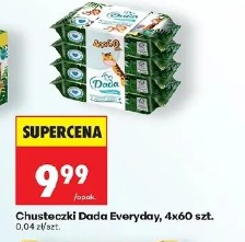 Dada Everyday chusteczki