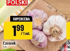 Czosnek