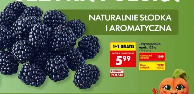 Jeżyna polska