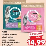 One Sucha karma dla kotów