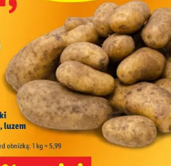 Ziemniaki wczesne