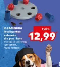 K-Carinura Inteligentna zabawka dla psa i kota