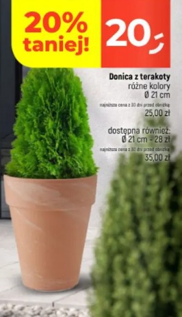 Donica z terakoty