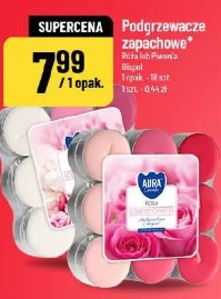 Podgrzewacze zapachowe Róża lub Piwonia Bispol