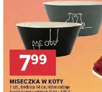 Misecka w koty