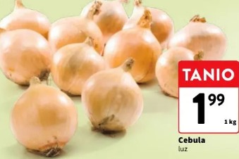 Cebula