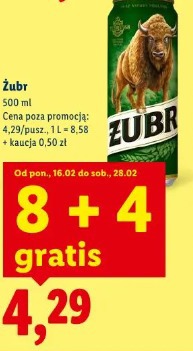 Żubr
