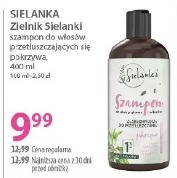 Sielanka Zielnik Sielanki szampon do włosów przetłuszczających się pokrzywa