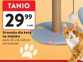 Drzewko dla kota na stojaku