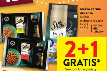 Mokra karma dla kota Sheba