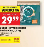 Purina sucha karma dla kota