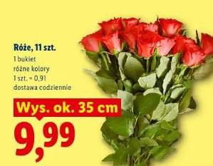 Róże, 11 szt.