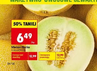 Melon Galia