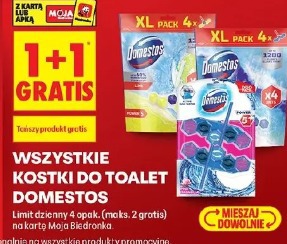 Wszystkie kostki do toalet Domestos