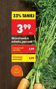 Marchewka młoda
