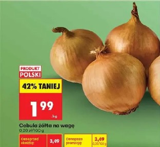 Cebula żółta