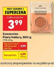 Soczewica Plony Natury