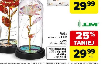 Róża wieczna LED Jumi